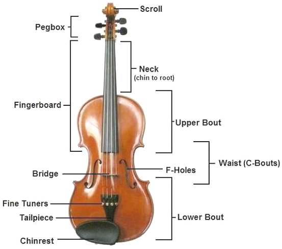 The Construction of a Violin