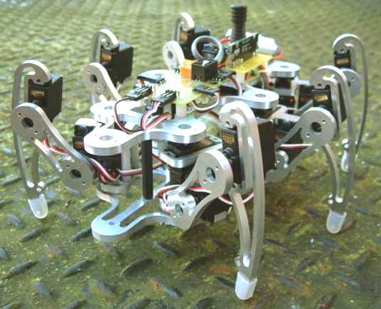 Hexapod robot