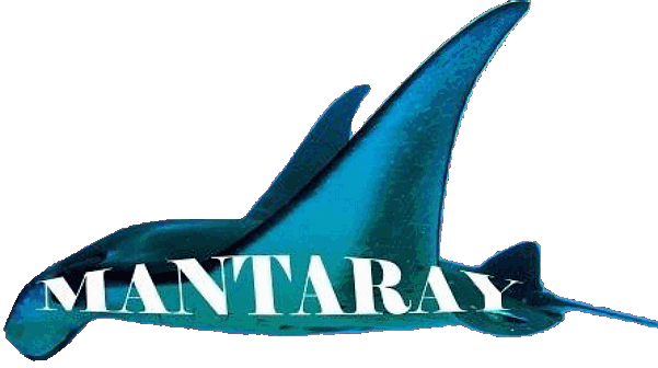 Mantaray, ocean plastic cleaning vacuum ship